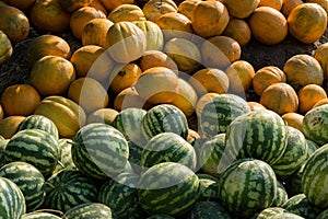 Sale of watermelon and melon. photo
