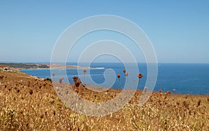 Salento coast north of Sant\'Emiliano tower in Otranto, Italy.