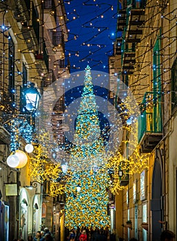 The amazing `Luci d`Artista` artist lights in Salerno during Christmas time, Campania, Italy. photo