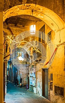 The amazing `Luci d`Artista` artist lights in Salerno during Christmas time, Campania, Italy. photo