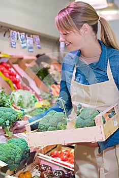 Sales assistant restocking broccoli in green grocers