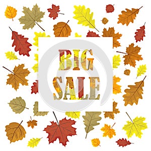 Sales banner with autumn leaves.