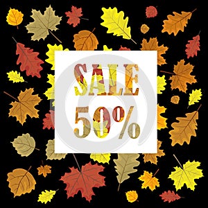 Sales banner with autumn leaves. Leafs in season vector sale design panel. illustration. Black background.