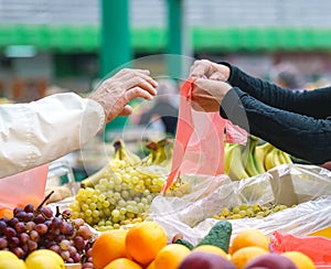 Sales of fresh and organic vegetables and fruits at the green market or farmers market in Belgrade during weekend. All for diet