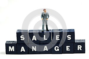 Sales manager