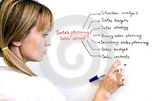 Sales planning concept