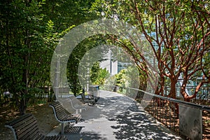 Salesforce Park. San Francisco, California, USA