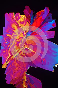 Salicylic acid in polarized light