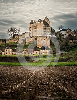 Chateau de Salignac in the Dordogne region of France photo