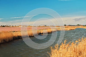 Salin of Aigues mortes, the salt makes outside of Aigues mortes city, France