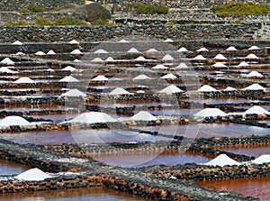 Salina del Carmen salt evaporation ponds