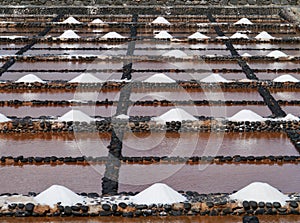 Salina del Carmen salt evaporation ponds