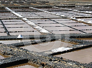 Salina del Carmen salt evaporation ponds