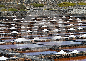 Salina del Carmen salt evaporation ponds