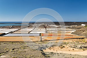 Salinas de Janubio In Lanzarote, Spain