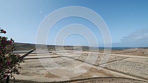 Salinas de Janubio scene in Lanzarote, Canary Islands