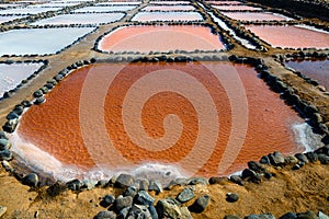 Salinas de Tenefe salt evaporation ponds, southeastern part of the island, pink color created by Dunaliella salina