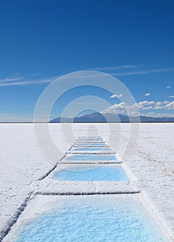 Salinas Grandes (Great salars) photo