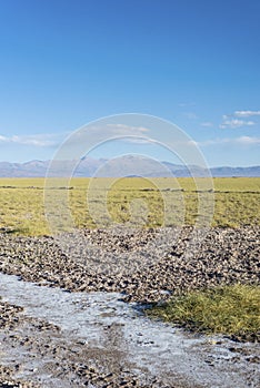 The Salinas Grandes in Jujuy, Argentina.