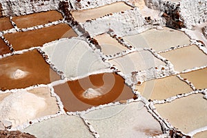 Salinas - Salt Mine