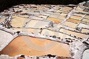 Salinas - Salt Mine
