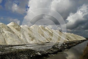 Saline Aigues-Mortes