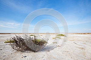 Saline Baskunchak photo