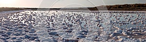 Saline evaporation ponds