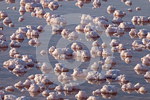 Saline evaporation ponds