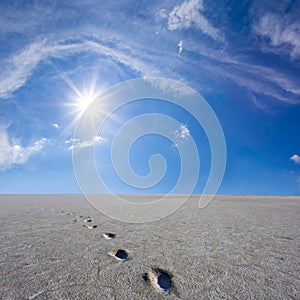 saline land with human track under a sparkle sun