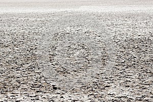 Saline soil of a fully dried lagoon