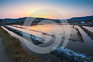 Saline in Strunjan, Slovenia