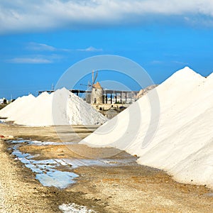 Saline of Trapani