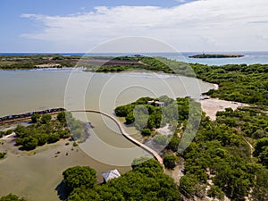 Salines lagoon, Sainte-Anne, Martinique