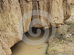 Salinized soil land subside