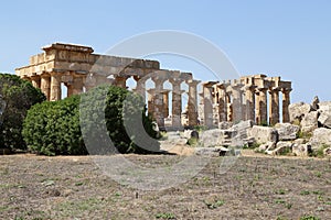 Salinunte - (Sicily)