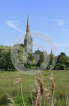 Salisbury Cathedral