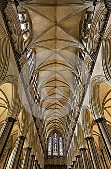Salisbury cathedral ceiling
