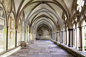 Salisbury Cathedral Cloisters photo