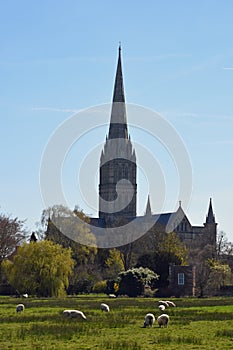 Salisbury Cathedral from Water Meadows, Wiltshire, England