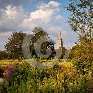Salisbury Cathedral, Wiltshire, UK
