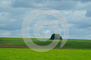 Salisbury Plain