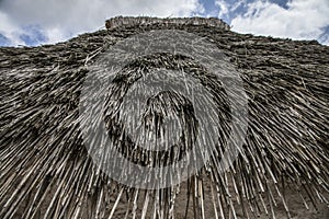 Salisbury plain - a thatched house.