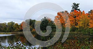 Salisbury Pond in Worcester, Massachusetts late autumn photo
