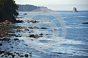 Salish Sea Coast img