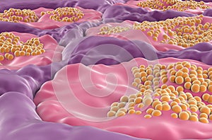 Salivary gland surface sublingual in the human mouth - closeup view 3d illustration photo