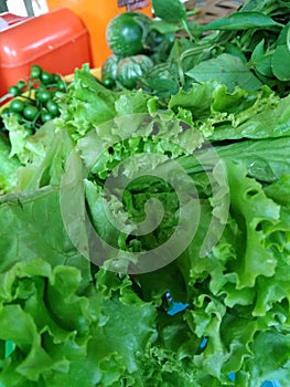 Sallad