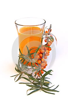 Sallow thorn juice 01