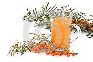 Sallow thorn juice 04