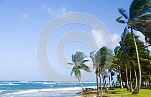 Sally Peaches Beach Big Corn Island Nicaragua Central America on photo